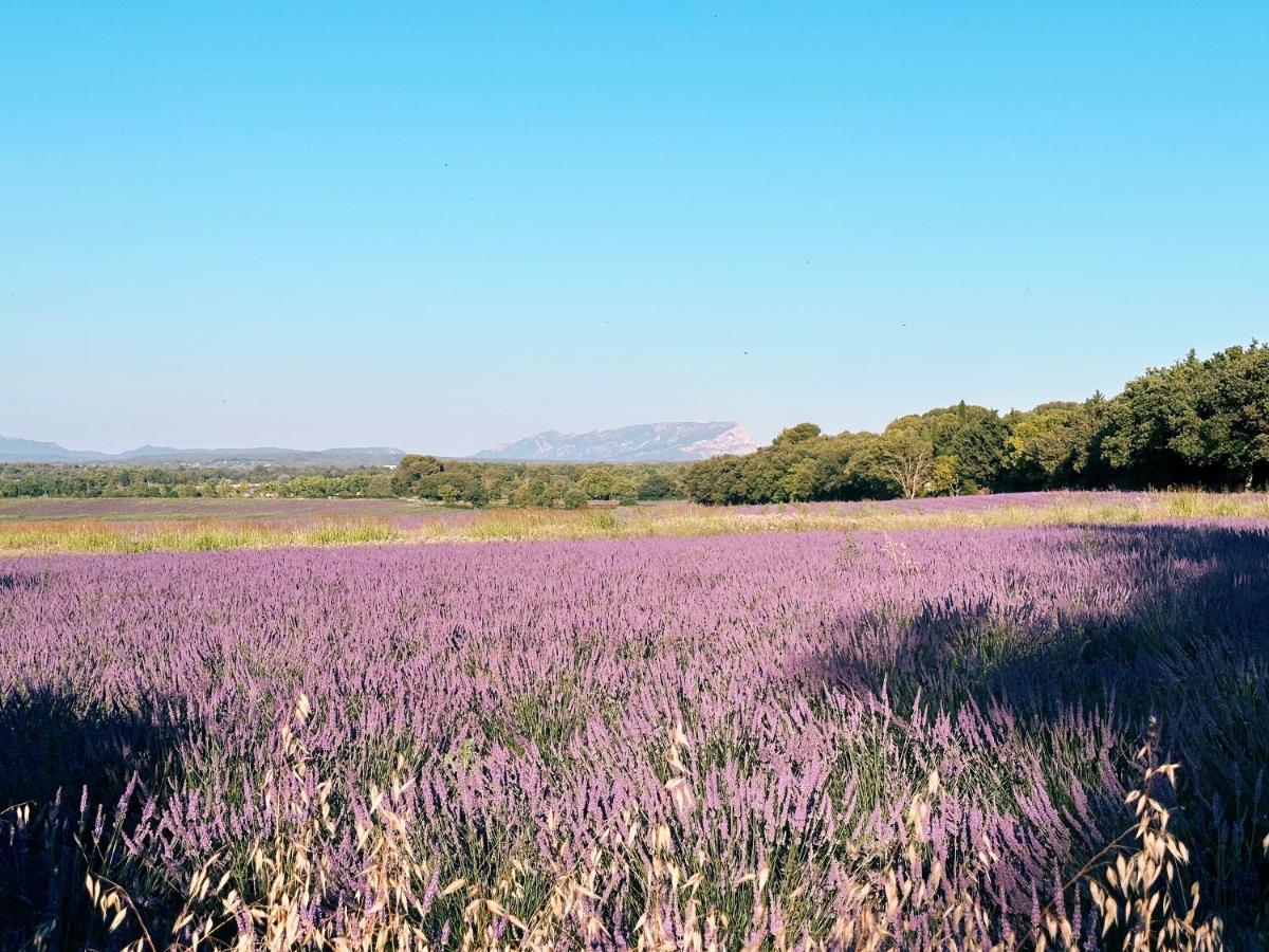 Bed and Breakfast Maison Francoise Aix-en-Provence Exterior foto